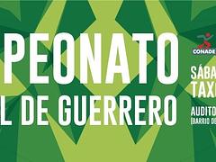 Campeonato Estatal de Guerrero