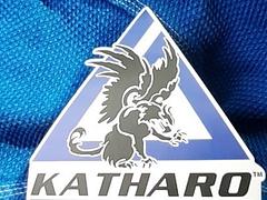 Katharo In-House Tournament 2
