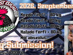 Brawls IX (NoGi Only Submission)