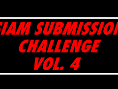 SIAM Submission Challenge Vol.4