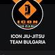 Icon Jiu-Jitsu Bulgaria logo