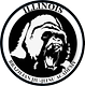 Illinois Brazilian Jiu-Jitsu Academy logo