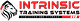 Intrinsic Training Systems logo