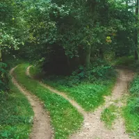 Tapping In Ep. 26: Gameplanning for Success