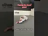 Passing the closed guard