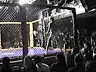 145lb fight