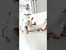 Controle da pegada de costas PARTE II #JiuJitsu #BJJ4Life #BlackBelt #BJJ