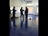 Brown belt promotion 2017