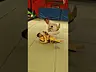 #bjj #brazilianjiujitsu #mma #jiujitsu