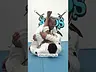 Stack Pass by Andre Galvao | AtosBJJOnDemand.com