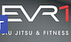 Everyone Jiu-Jitsu logo