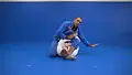 Best Submissions From Mount Position by Alexandre Dantas image 4
