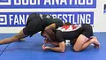 Houdini Back Defense and Escapes by Ash Williams image 5