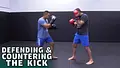 Defending & Countering The Kick by Beneil Dariush image 3