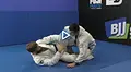 Butterfly Guard Re-Discovered by Adam Wardzinski image 4