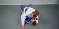 Polish Power Full Mount by Adam Wardzinski image 4