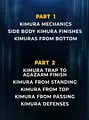 Keys to the Kimura by Aj Agazarm image 2