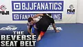 The Reverse Seat Belt by David Avellan image 3