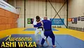Awesome Ashi Waza by David Groom image 3