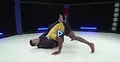 The Winning Fundamentals Of MMA by Chael Sonnen image 4