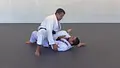 Total Body Concepts For Controlling The Fight by Fabio Leopoldo image 4