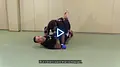 The Progressive Guard For MMA by Fabricio Werdum image 5
