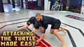 Attacking the Turtle Made Easy by Firas Zahabi image 3