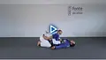 The Hidden Mechanics Of Postura Jiu-Jitsu by Francesco Fonte image 5