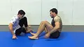 Forging The Guard: Mastering The Foundations of Butterfly Guard by Giancarlo Bodoni image 6