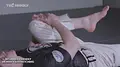 Beginner Friendly Mobility and Stretching by Dinu Bucalet image 4