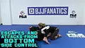 Escapes and Attacks From Bottom Side Control by Eli Knight image 3
