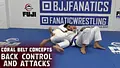 Coral Belt Concepts: Back Control & Attacks by Fabio Gurgel image 3