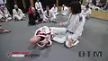 Guard Passing Mastery by Henry Akins image 6