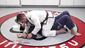 Ultimate Armlock Escapes by Henry Akins image 4