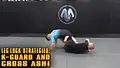 Leg Lock Strategies: K-Guard andCross Ashi by Jack Stapleton image 3