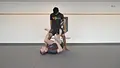 Understanding The K-Guard by Jason Rau image 5