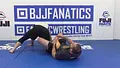 Dynamic Reverse Guard by Jason Rau image 5