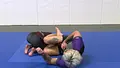 Systematically Attacking The Arm Bar by Gordon Ryan image 5