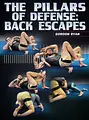 The Pillars of Defense: Back Escapes by Gordon Ryan image 1