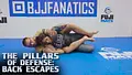 The Pillars of Defense: Back Escapes by Gordon Ryan image 4