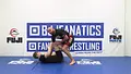 Daisy Fresh Wrestling Blue Belt Curriculum by Alejandro Wajner Heath Pedigo image 3