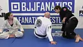The Daisy Fresh Curriculum: White Belt Stripe 4 by Heath Pedigo image 5