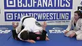 The Daisy Fresh Curriculum: White Belt Stripe 3 by Heath Pedigo image 5