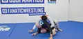 New Wave Jiu Jitsu: A New Philosophy Of Positional Escapes by John Danaher image 5
