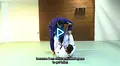 Active Guard Passing Explained by Leandro Lo image 5