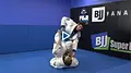 The Science of Guard Passing by Lucas Lepri image 4