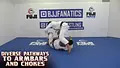 Diverse Pathways To Armbars And Chokes by Luis Heredia image 3