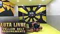 Luta Livre: Yellow Belt Requirements by Nicolas Renier image 3