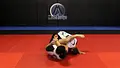 BJJ Defense Blueprint by Matt Arroyo image 5