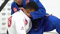 Half Guard Destruction by Romulo Barral image 4